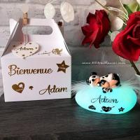 Nice newborn baby boy gift set - panda night light