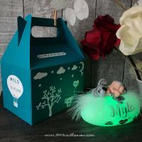 Handmade baby koala night light with its personalized gift box