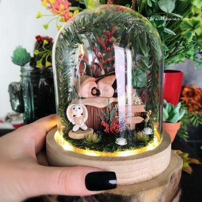 Diorama petit garcon avec lapin jardin miniature sous dome en verre cadeau bebe personnalise