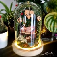 Cloche lumineuse en verre avec bebe fimo panda roux personnalisable dans son jardin miniature personnalisé