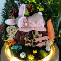 Superbe veilleuse artisanale présentée sous forme de cloche féérique avec un décor de jardin miniature thème lapin, vue de près