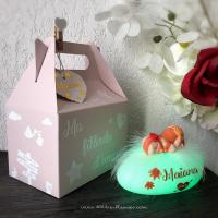 Luz nocturna personalizable con caja de regalo - Regalo completo - Único - Económico - para bebé