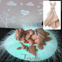 Personalized newborn box with an artisanal nightlight for a girl, a reproduction of her plush