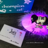 Magnifique creation artisanale theme foot fclb veilleuse personnalisee