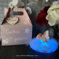 Magnifique veilleuse artisanale avec sa boite cadeau bebe bapteme