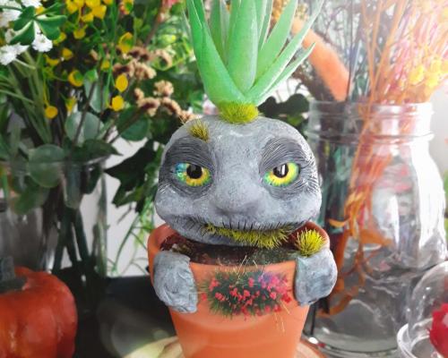 Plante caillou creature sage - cadeau passion naturophile