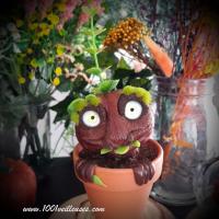 Plante creature cadeau à offrir