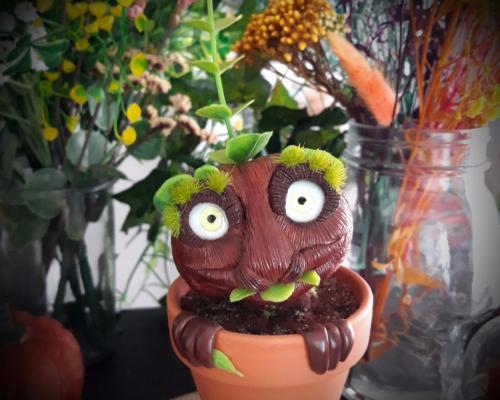 Plante creature cadeau à offrir