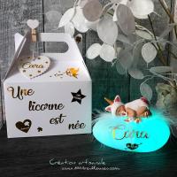 Espléndida caja personalizada con una lámpara de bebé unicornio de arcilla polimérica (fimo) y su caja de regalo a juego, vista de frente