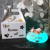 Magnifique coffret personnalisé avec veilleuse bébé licorne en pâte polymère (fimo) et sa boîte cadeau assortie, vue de face