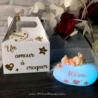 Veilleuse avec sa boite cadeau personnalisable pour coffret naissance idéal avec prénom - modele un amour à croquer